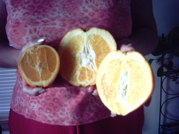 Cut Oranges